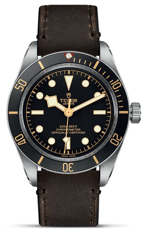 นาฬิกา tudor black bay.